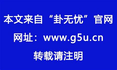 1982年属|82年属什么生肖 1982年与什么生肖合作最佳